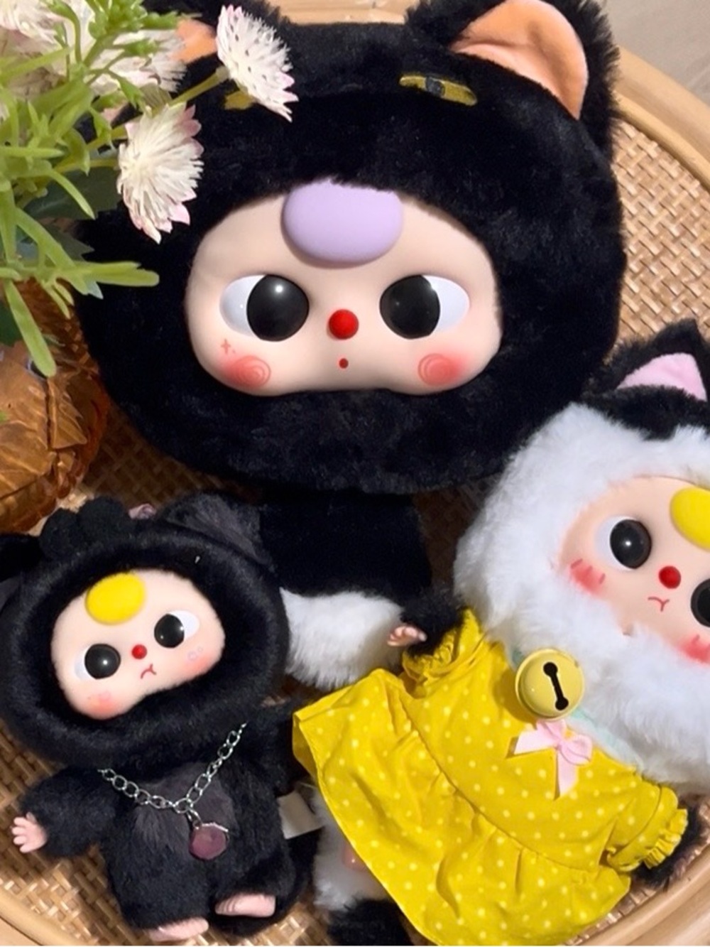 Baby three kitty BUNDLE